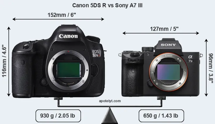 Size Canon 5DS R vs Sony A7 III