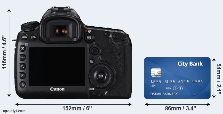 5DS and credit card rear side