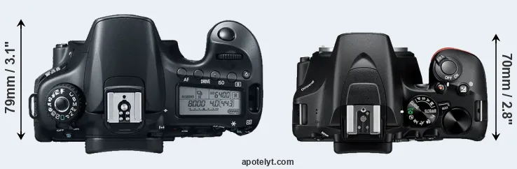 Compare 60D versus D3500 top