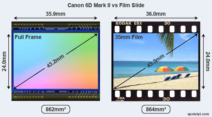 Canon 6D Mark II sensor measures