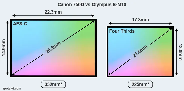 Canon 750D and Olympus E-M10 sensor measures