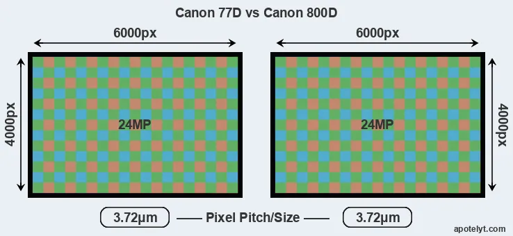 77D versus 800D MP