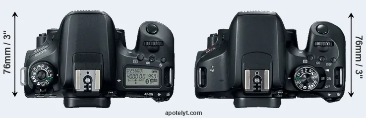 Compare 77D versus 800D top