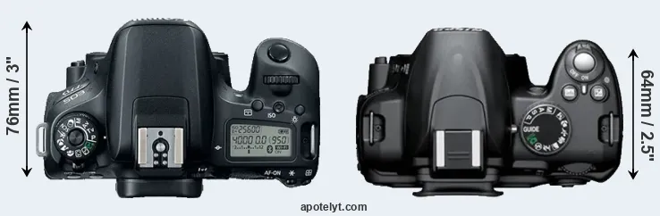 Compare 77D versus D3000 top