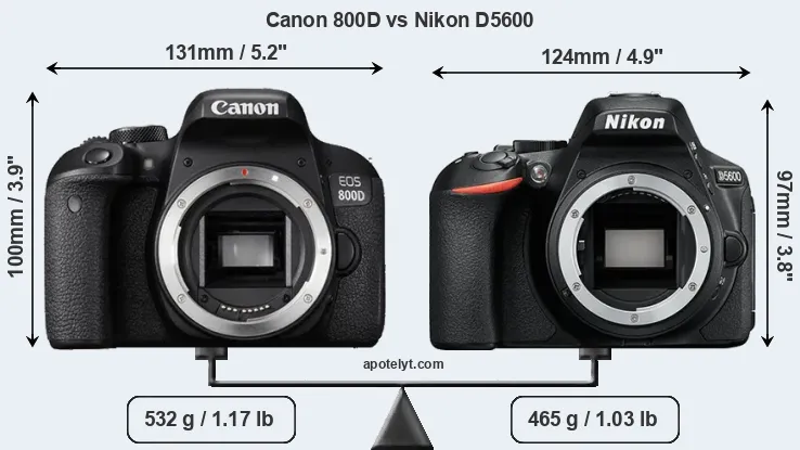 Size Canon 800D vs Nikon D5600