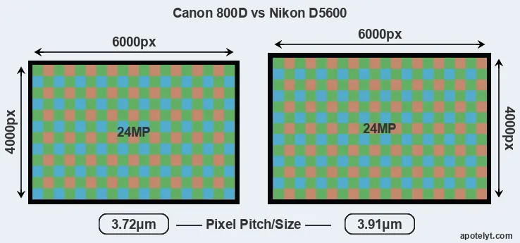 800D versus D5600 MP