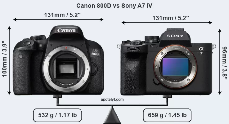 Sony A7IV vs Sony A7III - How big is the difference? 