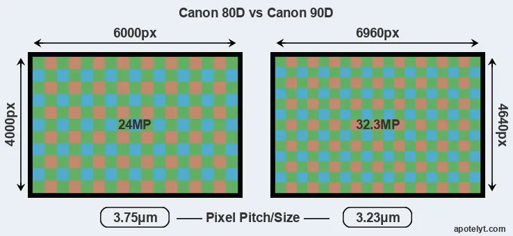 80D versus 90D MP