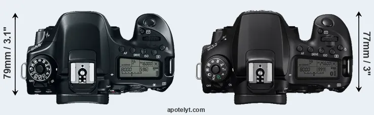 Compare 80D versus 90D top