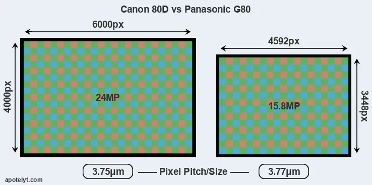 80D versus G80 MP