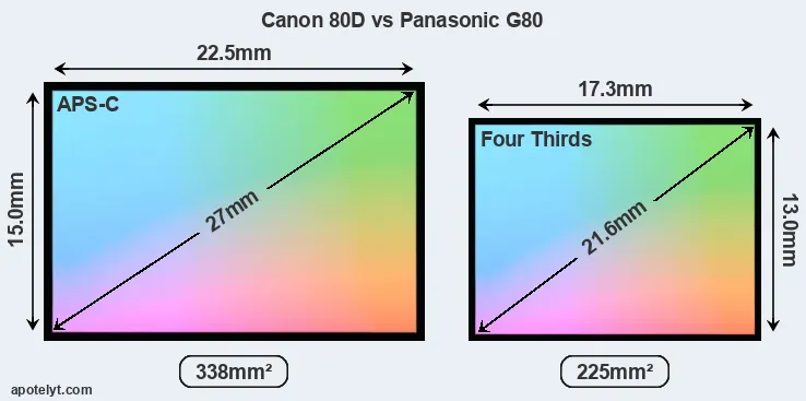 Canon 80D and Panasonic G80 sensor measures