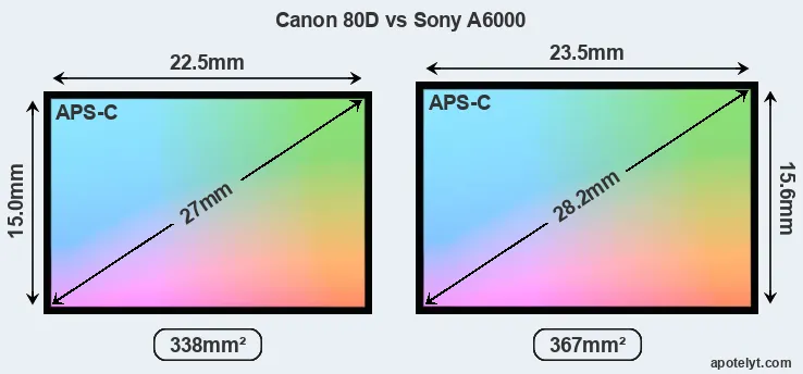 Canon 80D and Sony A6000 sensor measures