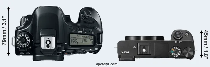 Compare 80D versus A6000 top