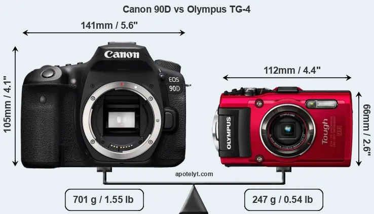 Size Canon 90D vs Olympus TG-4