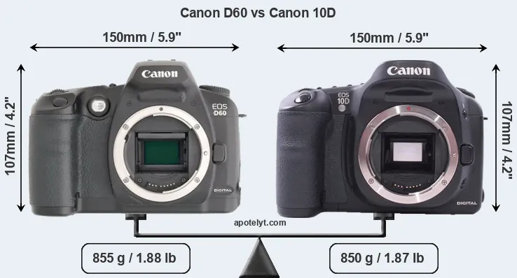 Size Canon D60 vs Canon 10D