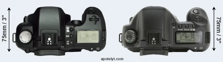 Compare D60 versus 10D top