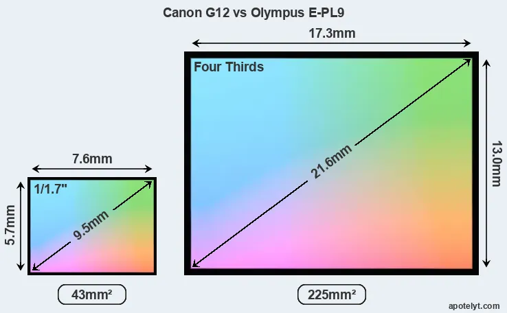 Canon G12 and Olympus E-PL9 sensor measures