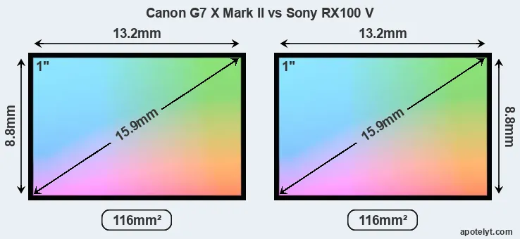 Canon G7 X Mark II and Sony RX100 V sensor measures