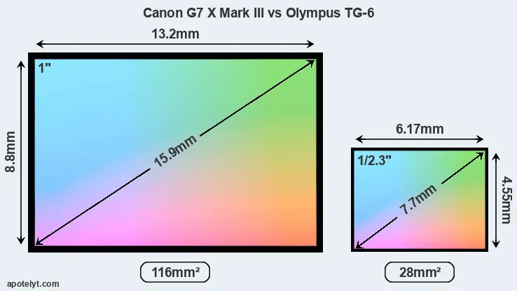 Canon G7 X Mark III and Olympus TG-6 sensor measures