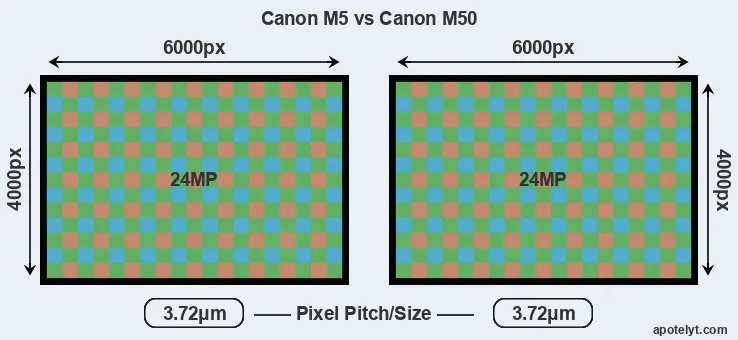M5 versus M50 MP