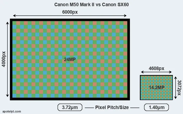 M50 Mark II versus SX60 MP