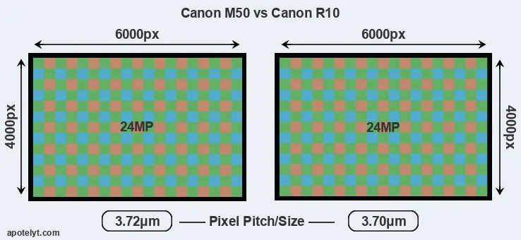 M50 versus R10 MP