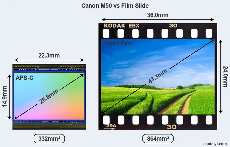 Canon M50 sensor measures