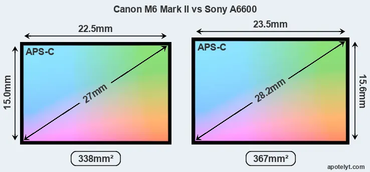 Canon M6 Mark II and Sony A6600 sensor measures