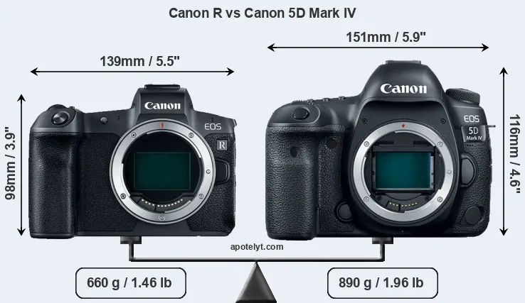 Size Canon R vs Canon 5D Mark IV