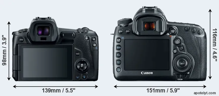 Comparison Canon R or 5D Mark IV rear