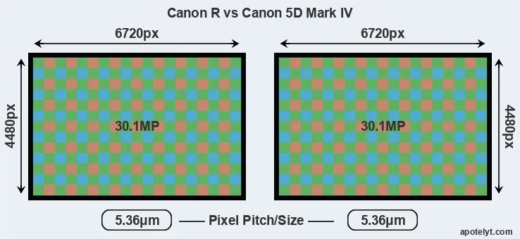 Canon R versus 5D Mark IV MP