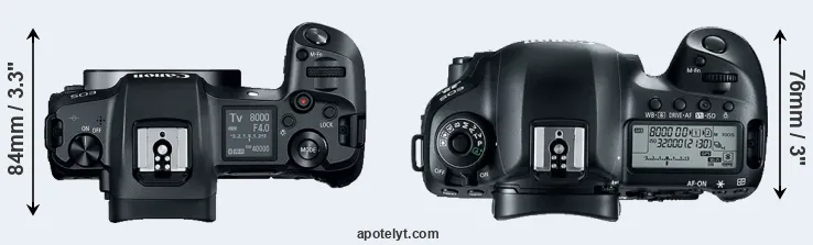 Compare Canon R versus 5D Mark IV top