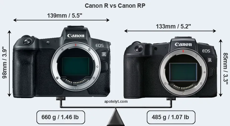 Size Canon R vs Canon RP