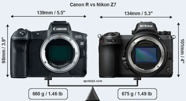 Size Canon R vs Nikon Z7