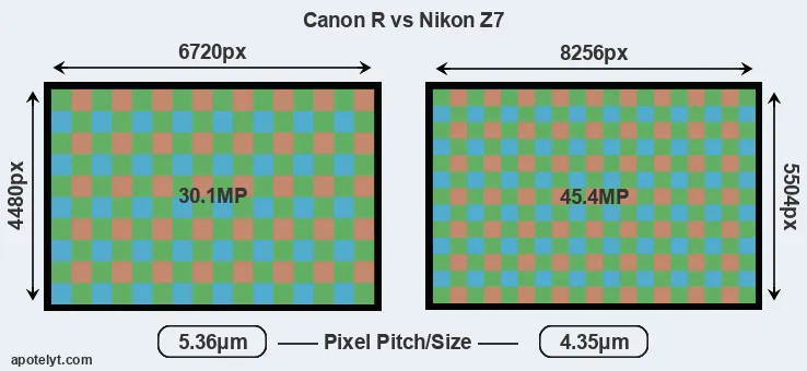 Canon R versus Z7 MP
