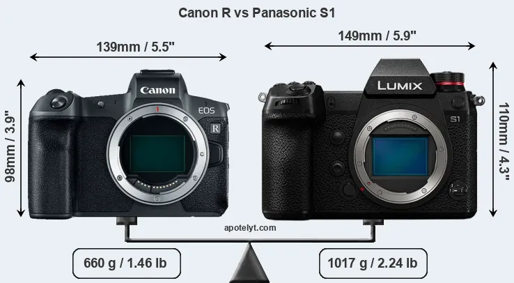 Size Canon R vs Panasonic S1