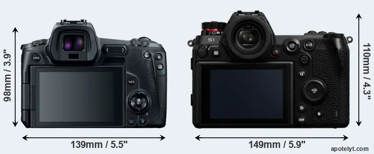 Comparison Canon R or S1 rear