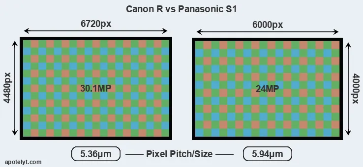 Canon R versus S1 MP