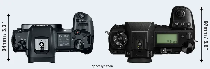Compare Canon R versus S1 top