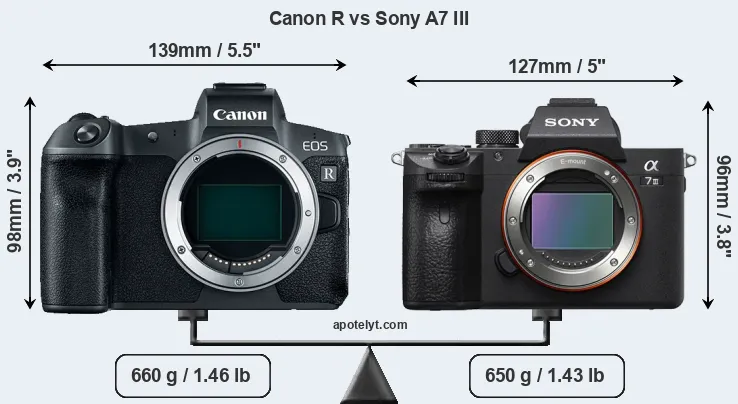 Size Canon R vs Sony A7 III