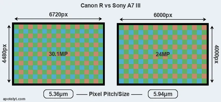 Canon R versus A7 III MP