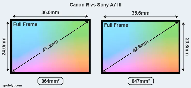Canon R and Sony A7 III sensor measures