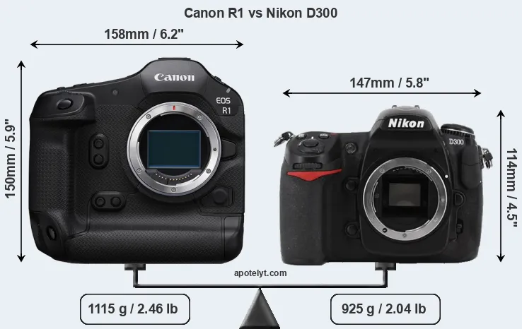 Size Canon R1 vs Nikon D300