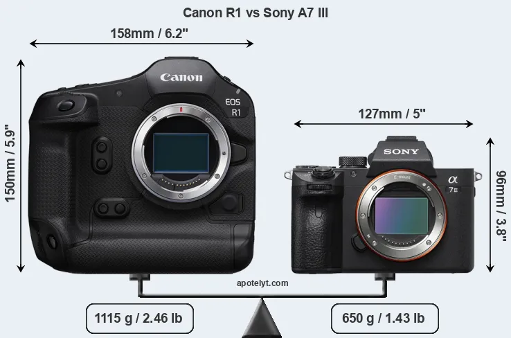 Size Canon R1 vs Sony A7 III