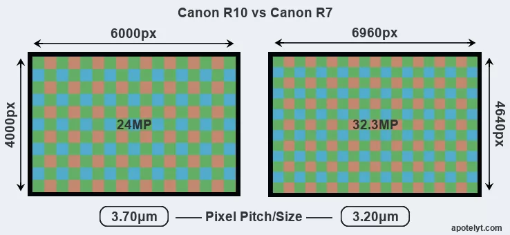 Canon EOS R10 vs Canon EOS R7: Major Differences to Know About