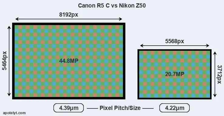 R5 C versus Z50 MP