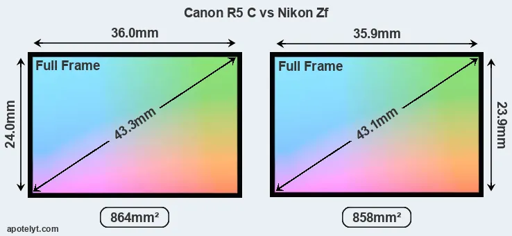 Canon R5 C and Nikon Zf sensor measures