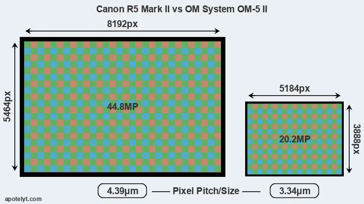 R5 Mark II versus OM-5 II MP