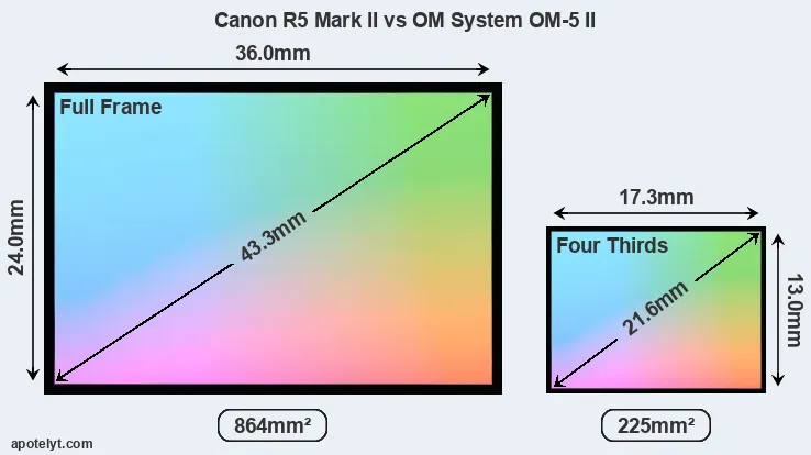 Canon R5 Mark II and OM System OM-5 II sensor measures