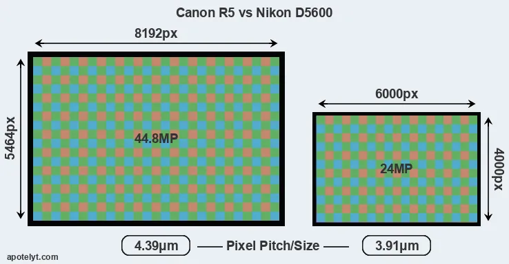 R5 versus D5600 MP